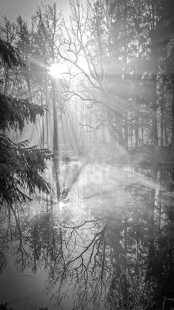 Photograph by Дмитрий Васильев