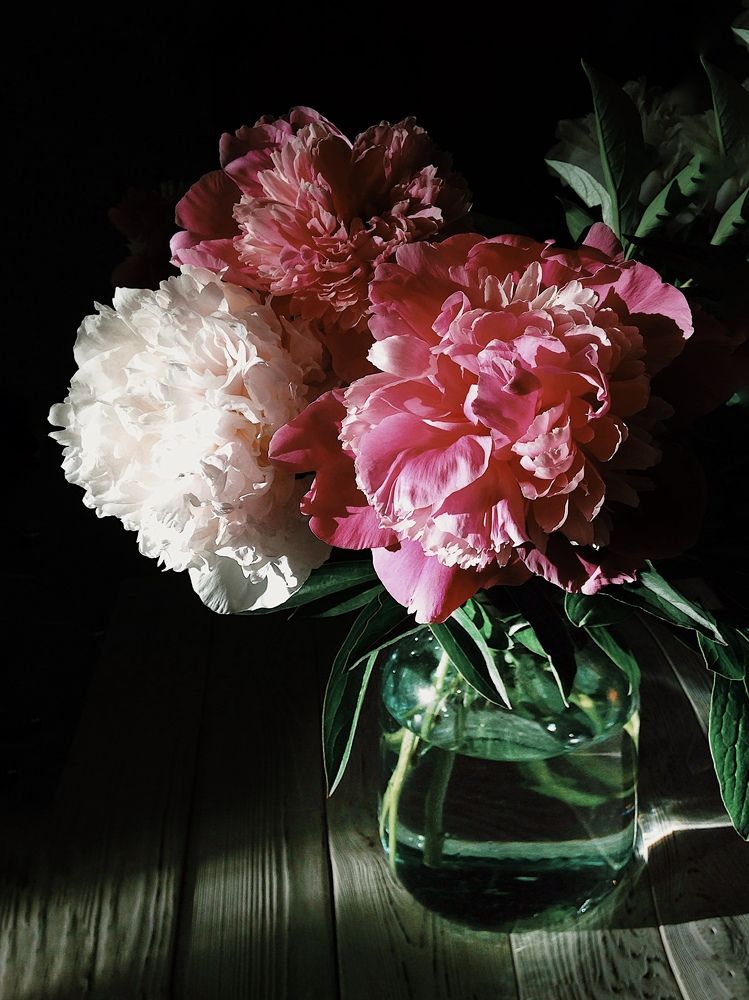 Photograph by Ирина Тимонина