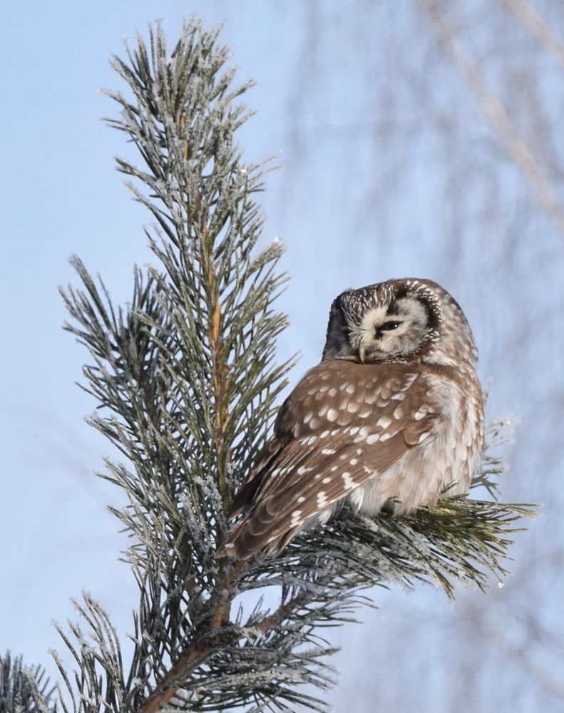 Фотография автора Виктор Руденко