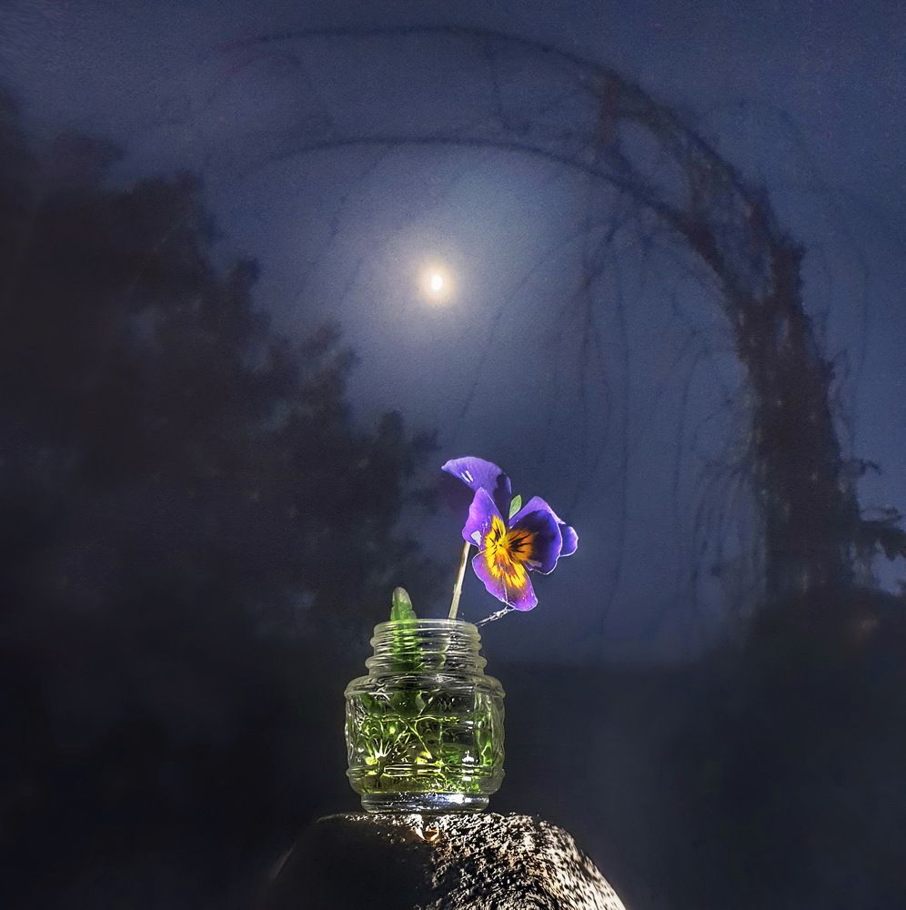 Photograph by Игорь