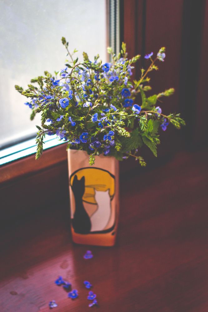 Photograph by Анна Крюкова