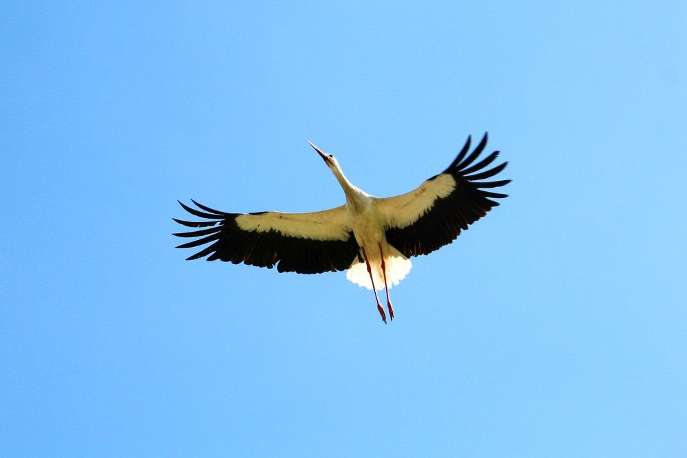 Photograph by Марина Иванникова