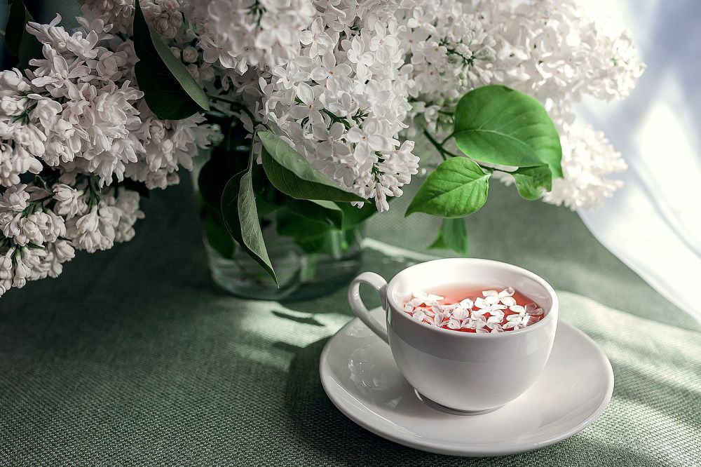 Фотография автора Альбина Кадочникова