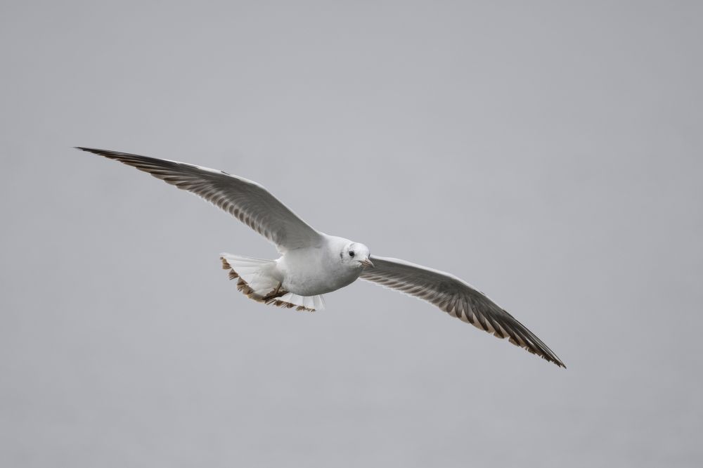 Фотография автора Сергей Затямин