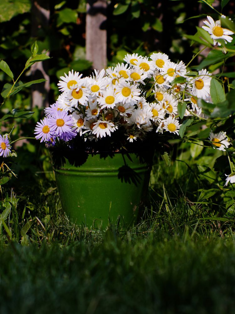 Photograph by Пивоварова Екатерина