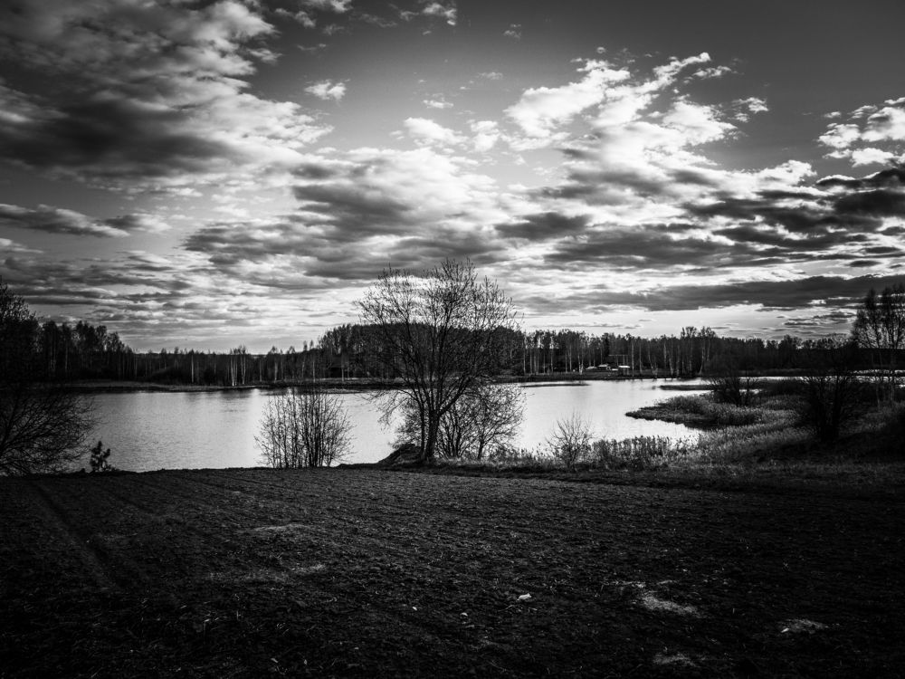 Photograph by Владимир Тюрин
