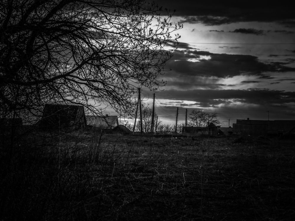 Photograph by Владимир Тюрин