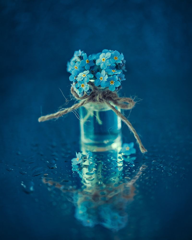 Photograph by Ольга Рагинская