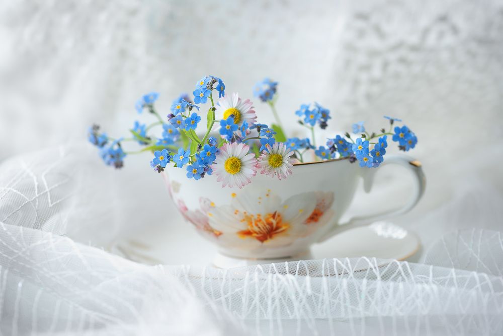 Photograph by Ольга Рагинская