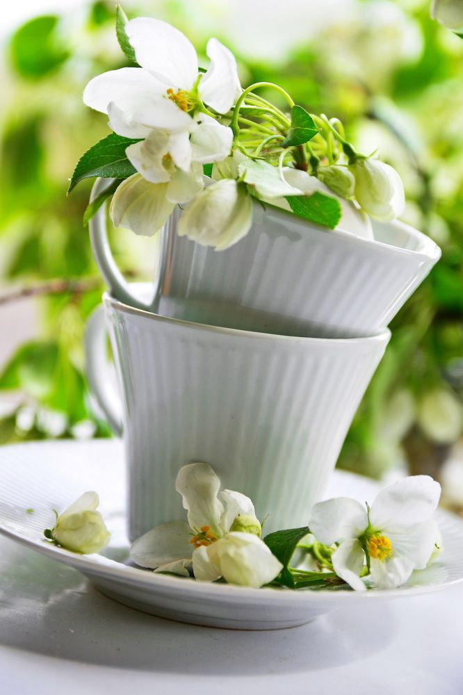 Photograph by Andrey