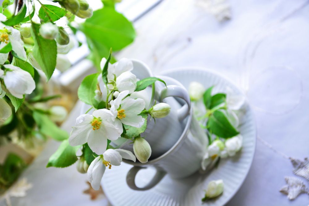 Photograph by Andrey