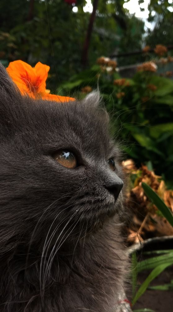 Photograph by Максим Маликов