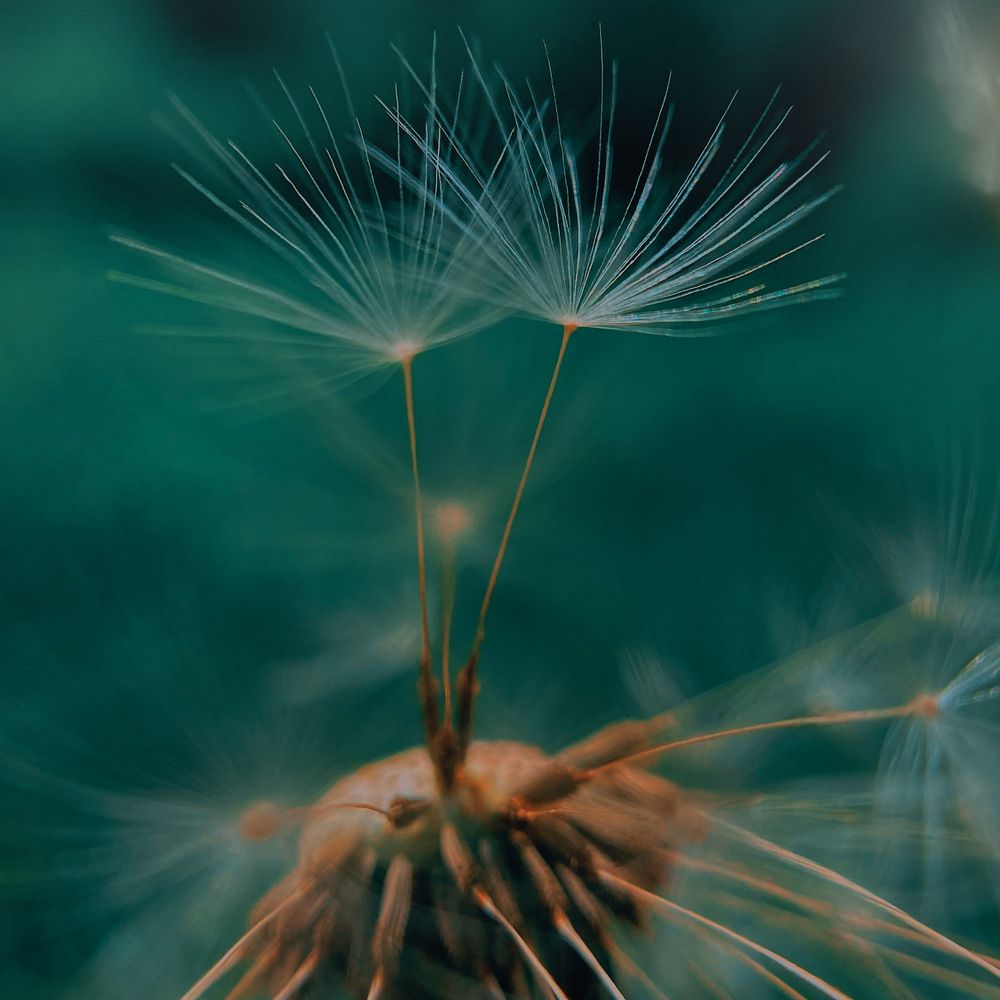 Photograph by Екатерина