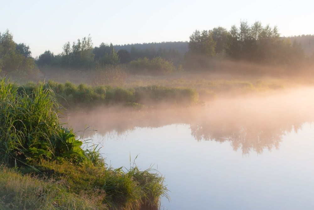 Photograph by Валерия