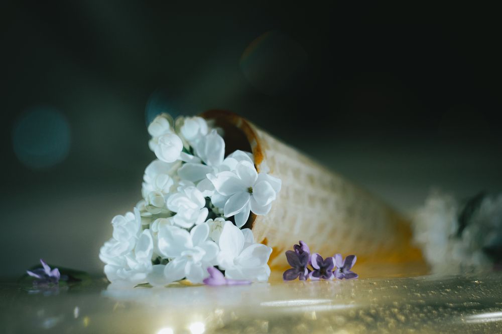 Photograph by Андрей Косяк