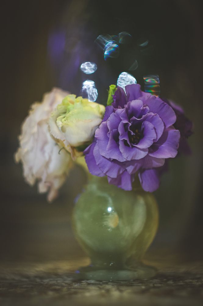 Photograph by Андрей Косяк