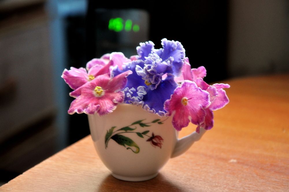 Photograph by Валерий Бурматов