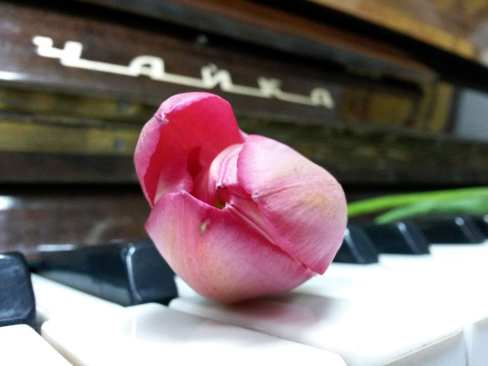 Photograph by Валерий Бурматов