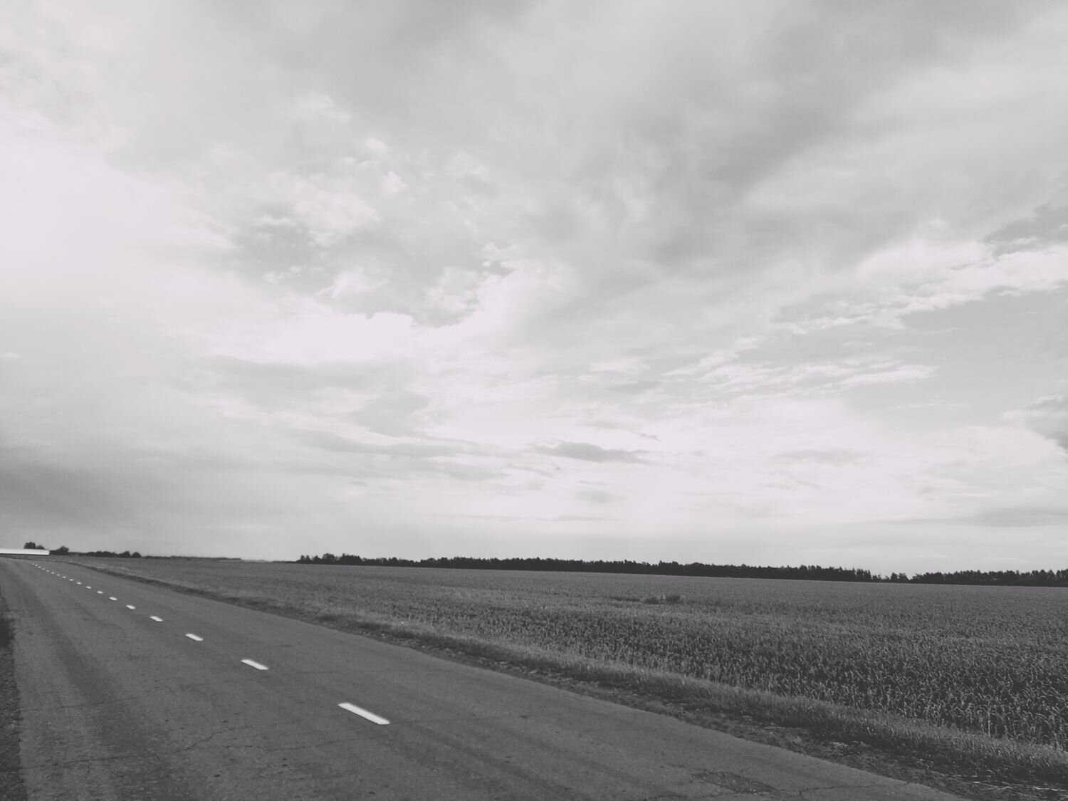 Photo #7728599