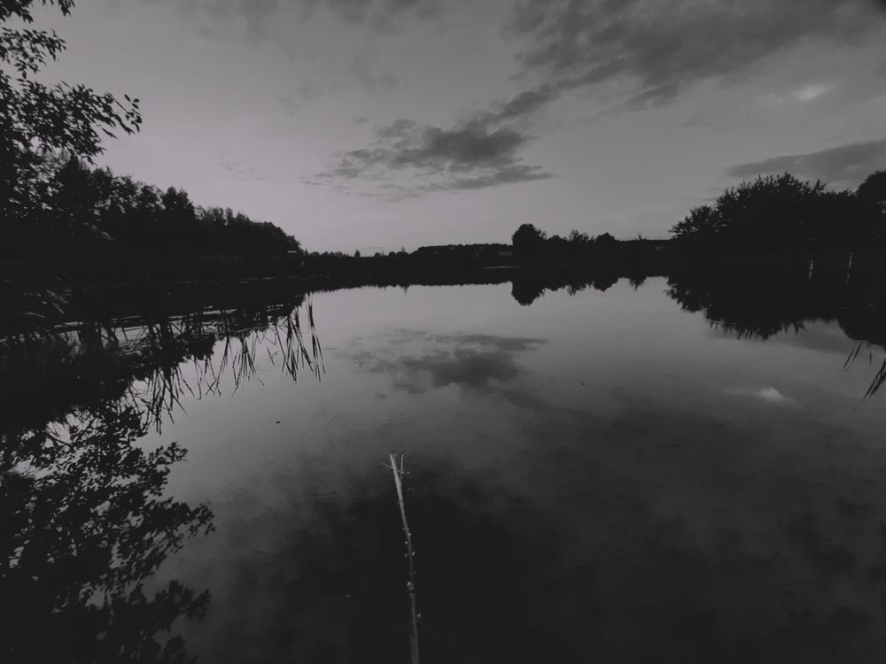 Photograph by Елизавета Карюченко