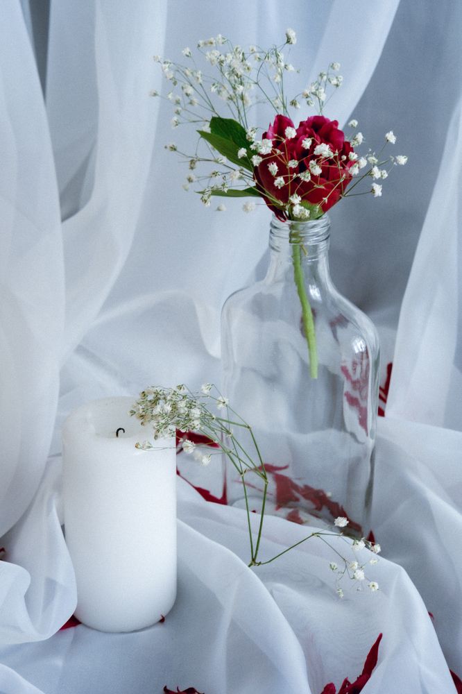 Photograph by Елена Шевченко