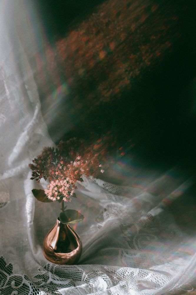 Photograph by Ксения Помогаева