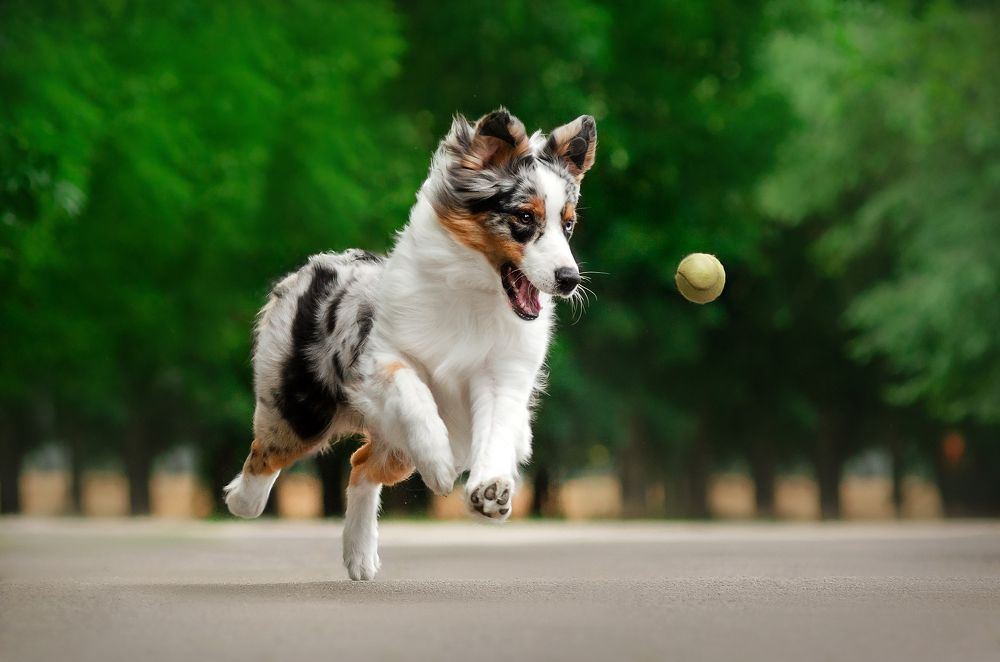 Photograph by Екатерина Кикоть