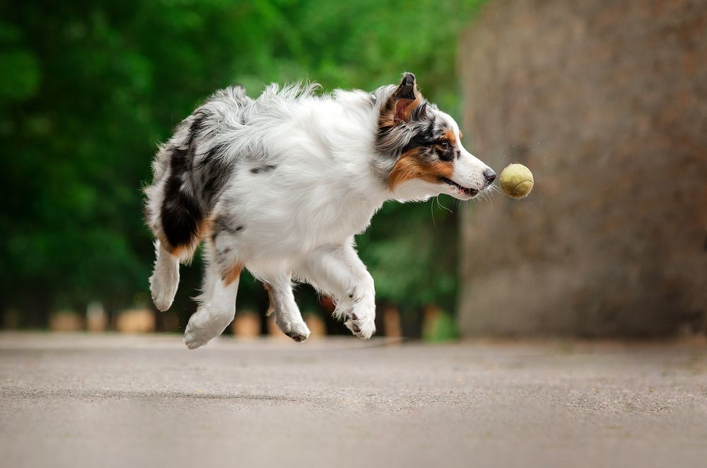 Photograph by Екатерина Кикоть