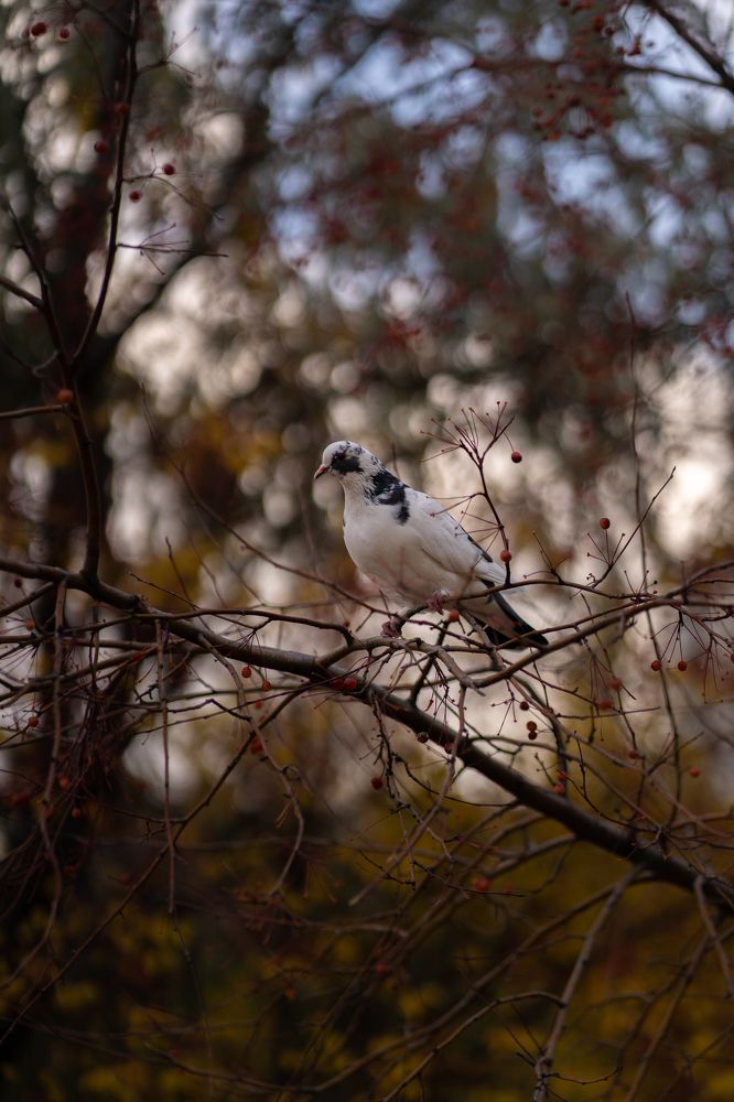 Photograph by Оксана Антипова