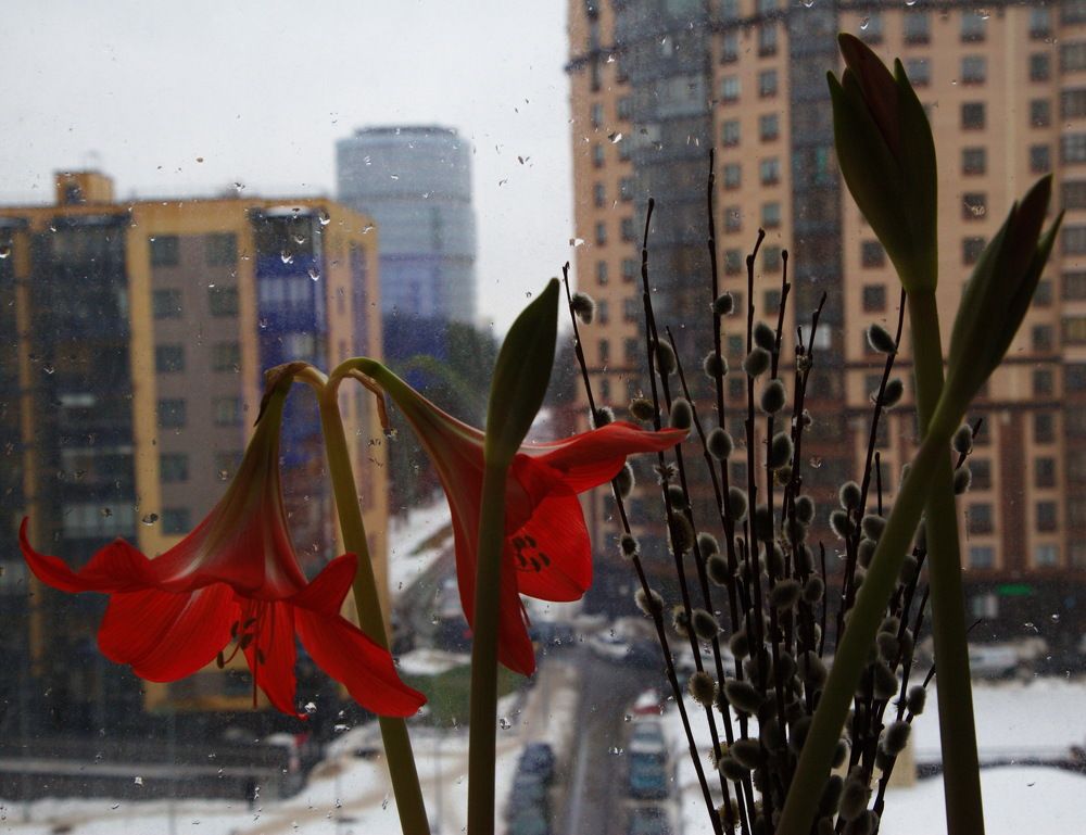 Photograph by Анатолий Протасов