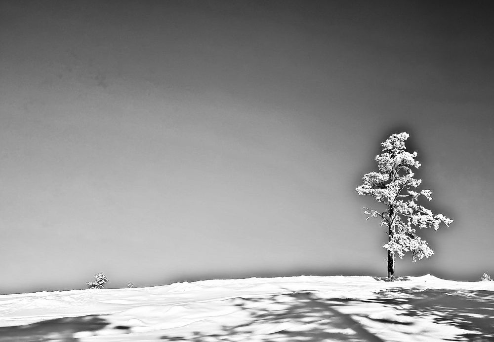 Photograph by Олег Терешкин