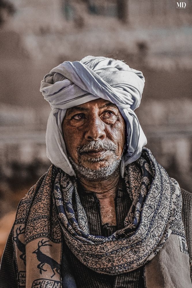 Photograph by Mohamed Dakrony