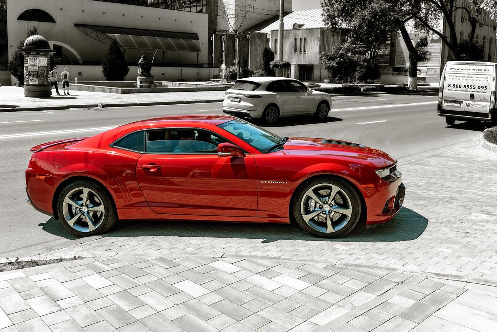 Photograph by Владимир Гамаюнов