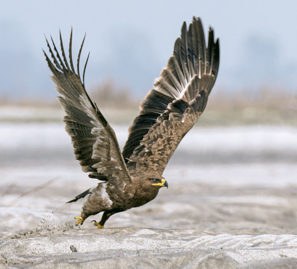 Photograph by Biswajit Mukherjee