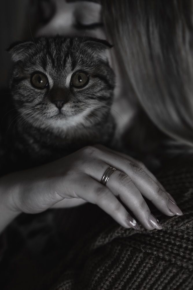 Photograph by Дарья Бакина