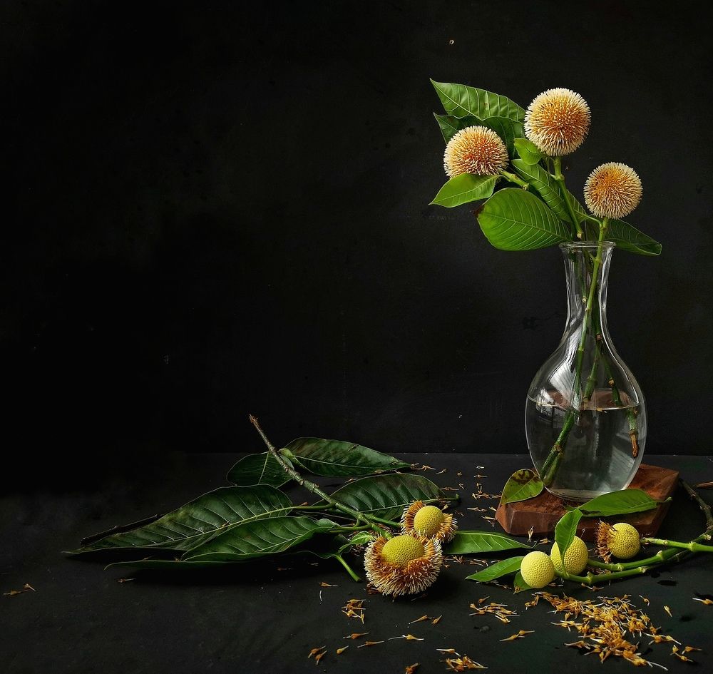 Photograph by Moon Moon Hossain