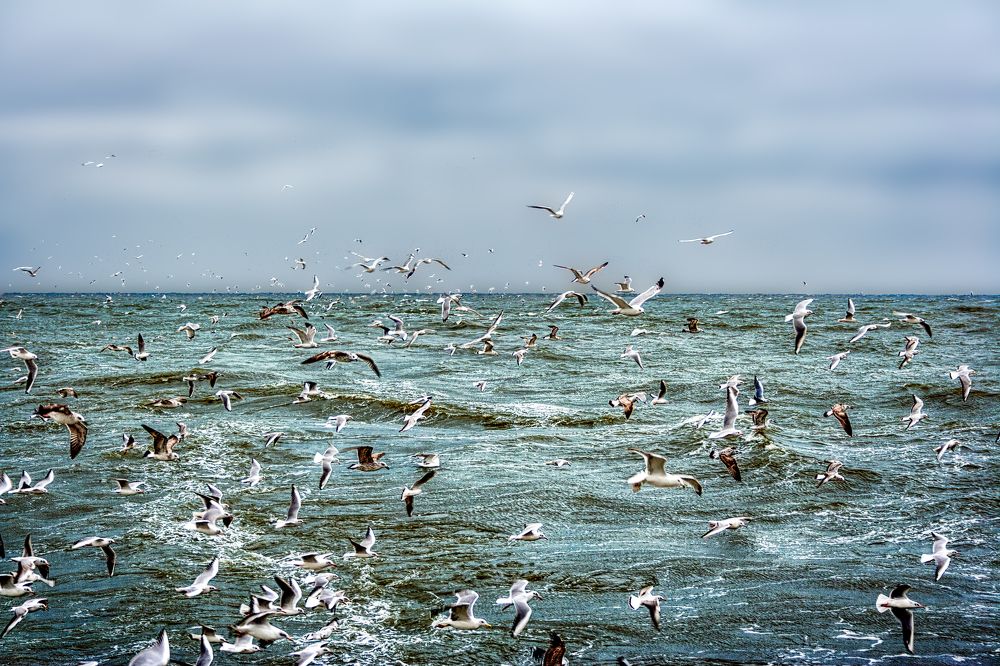 Photograph by Владимир Кваша