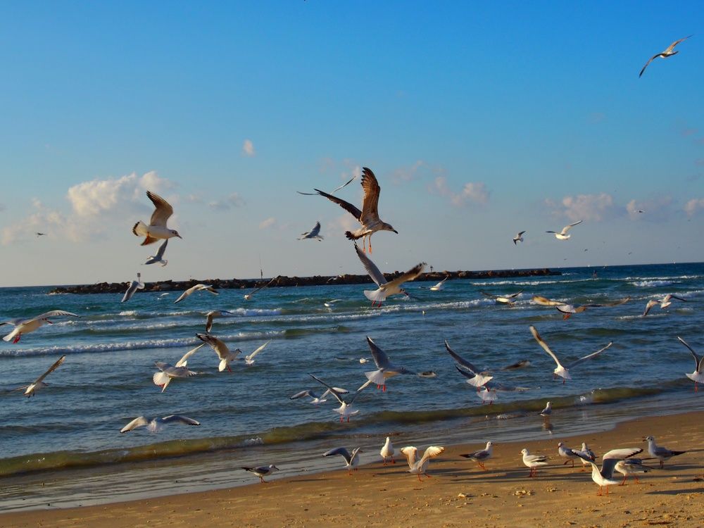 Photograph by Jacob Greenberg