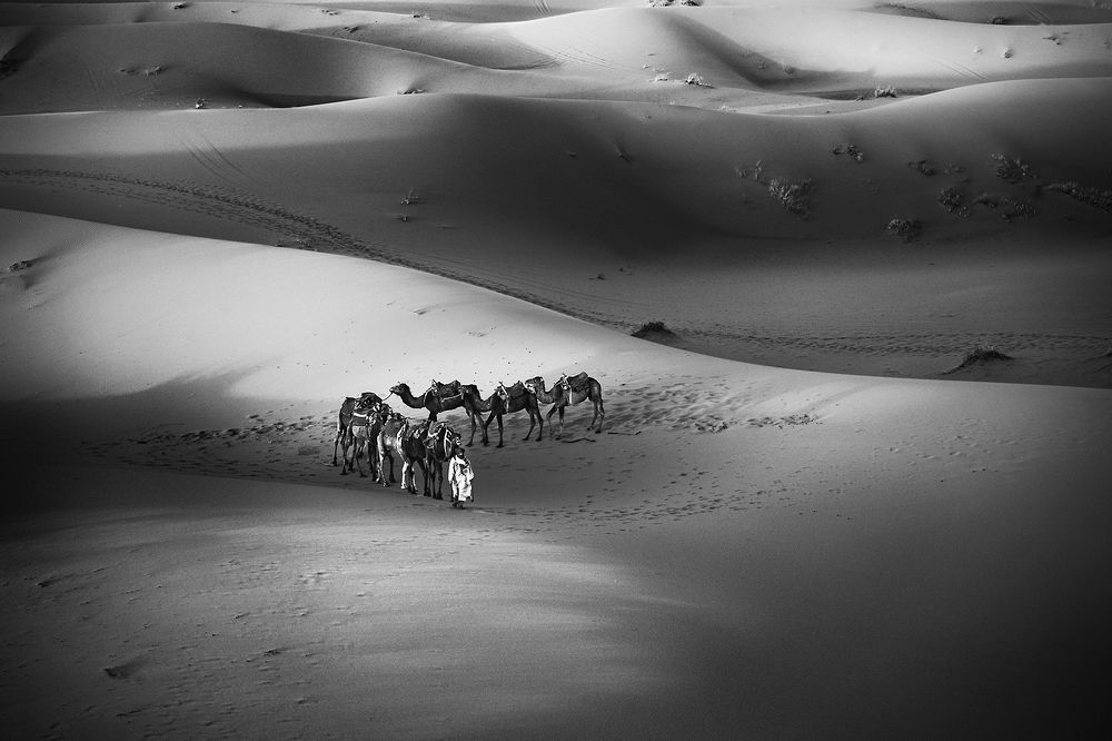 In search of the way