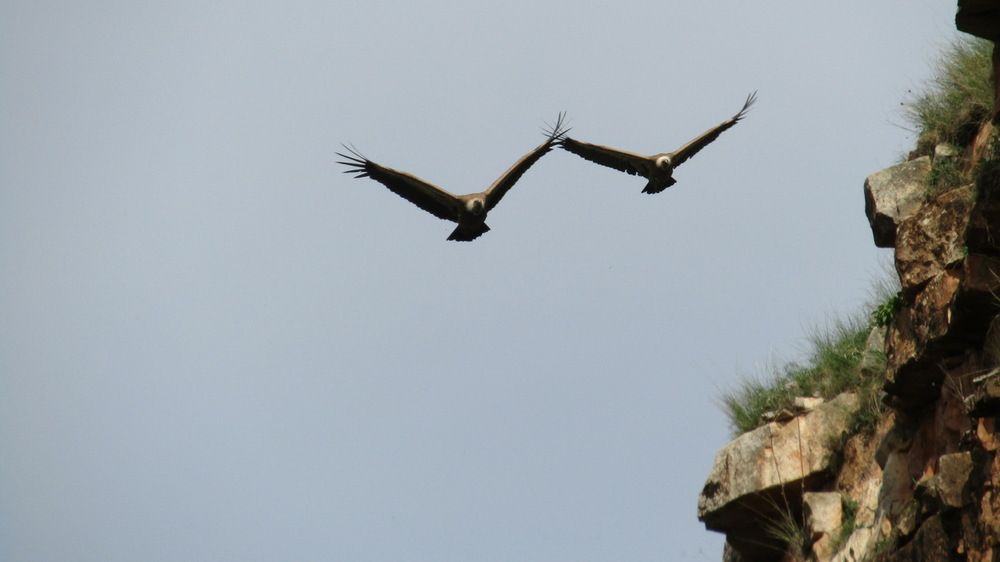 Photograph by Ирина Русинович