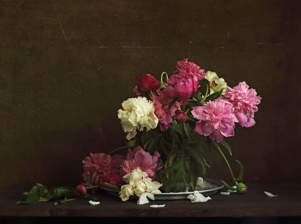 Фотография автора ТАТЬЯНА ЗАХАРОВА