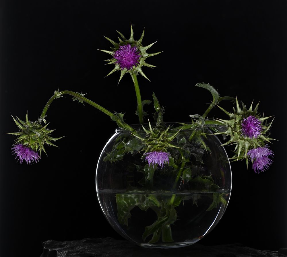 Photograph by Yuri Boichenko