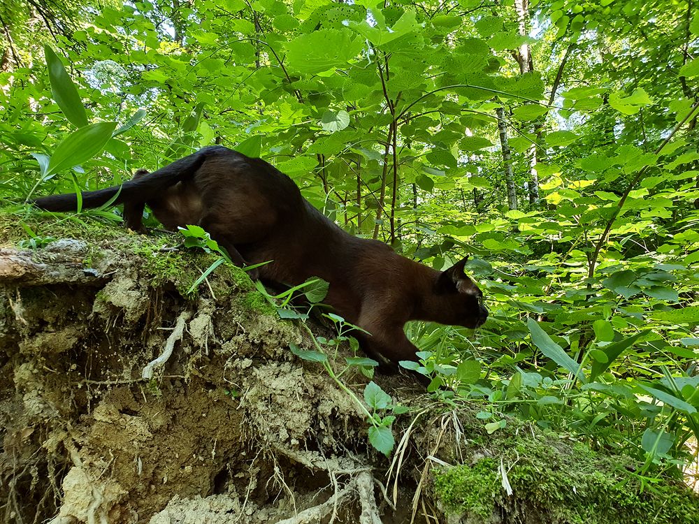 Фотография автора Надежда Лисицына