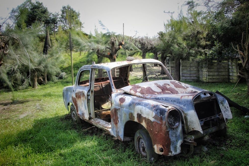 Photograph by Mauricio Mora Flores