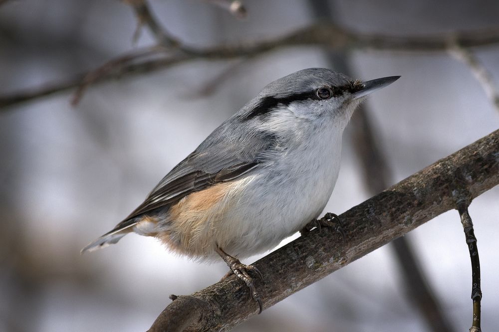 Photograph by Илья Тюрин