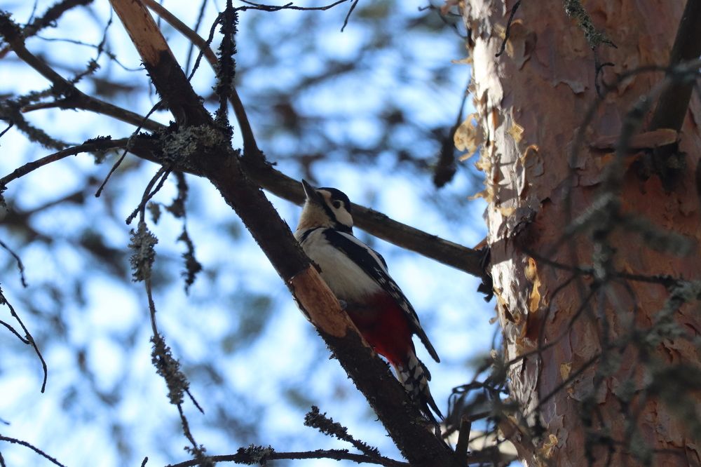 Photograph by Алексей Михайлов