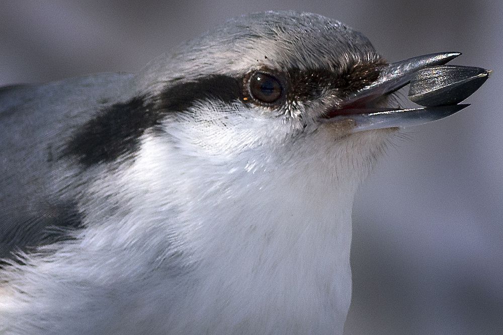 Photograph by Илья Тюрин