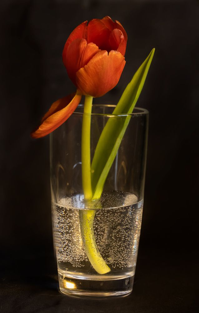 Photograph by Ирина Баландина