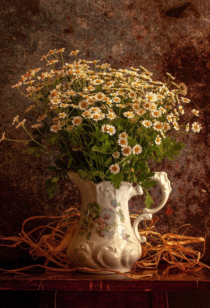 Photograph by Диляра Шарифзаде