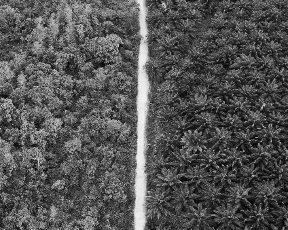 All Future Choices About Climate Change